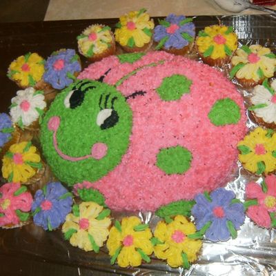 Lady Bug Birthday Cake