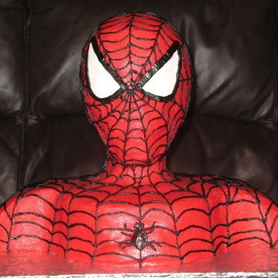 Spiderman Bodice