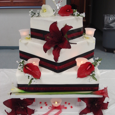 Josh & Casey's Wedding