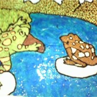 Jumpin And Chillin Frogs