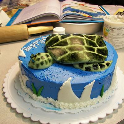 Sea Turtle