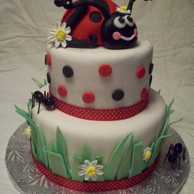 Lady Bug Cake