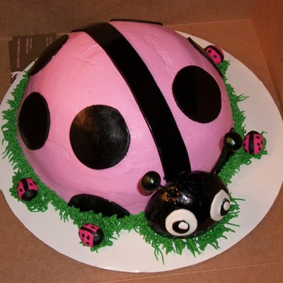 Hot Pink Ladybug Cake