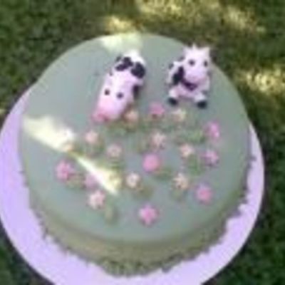 A Cow Cake For My Mothers Birthday She Just Loves Cows So The Cake Team Was Given