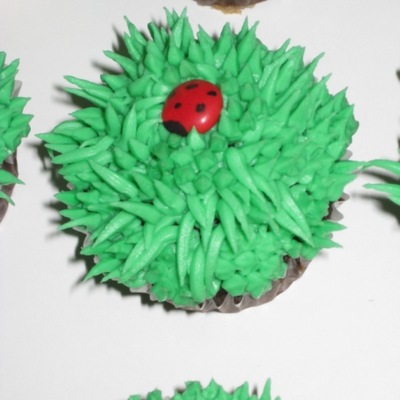 Ladybug Cupcake
