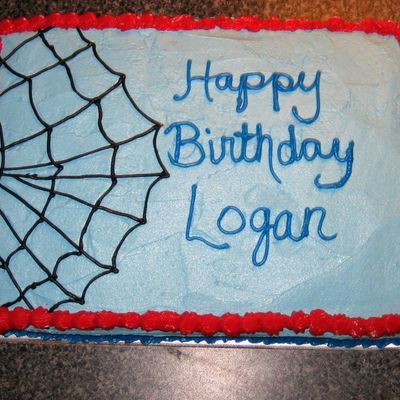 Extra Sheetcake For The Spiderman Birthday Cake