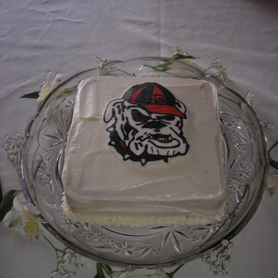 Georgia Bulldog Grooms Cake