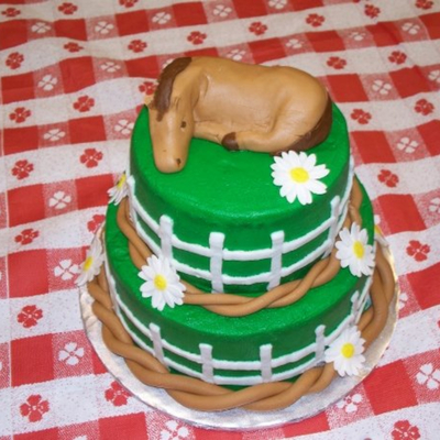 Gracie's Horse