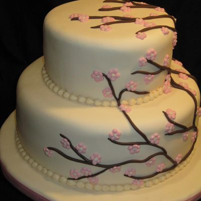 Climbing Cherry Blossoms.