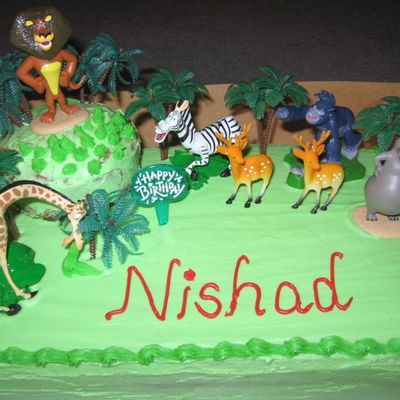 Jungle Cake