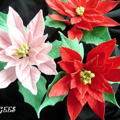 Sugar Dough Poinsettia'a...