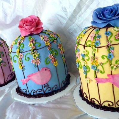 Colorful Birdcages..