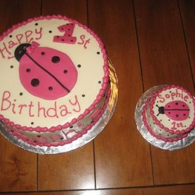 Pink Ladybug 1St Birthday