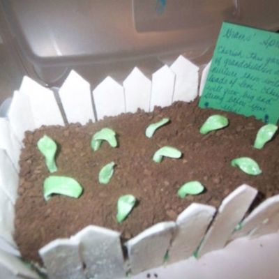 Mother's Day Sprout Garden