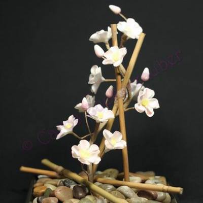 Ikebana Cherry Blossom
