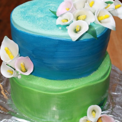 Jen's Surprise Bday Cake