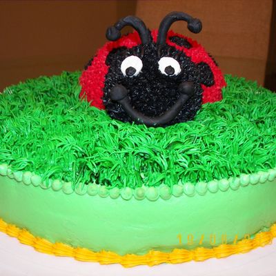 Ladybug In The Grass