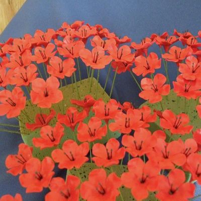 Red Cherry Blossoms W/ Black Stamens
