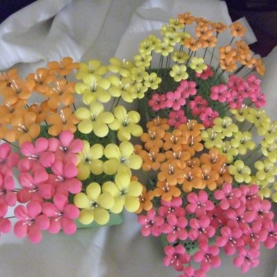 Simple Fruit Blossoms