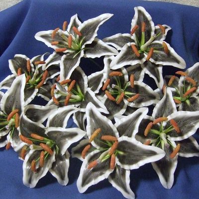 Black & White Rubrum Lilies