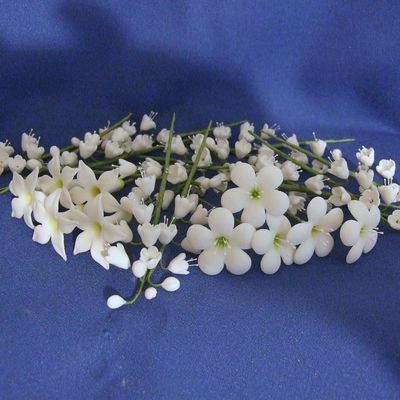 Jasmine, Fruit Blossoms And Lily Of The Valley