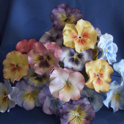 Pansies Of Many Colors
