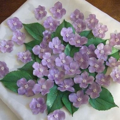Lavender Hydrangeas
