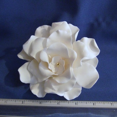 Gardenia
