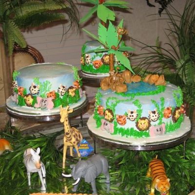 Safri Animal Birthday