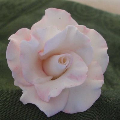 Rosa Petalo A Petalo