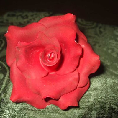 Red Rose