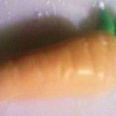 Fondant Carrot