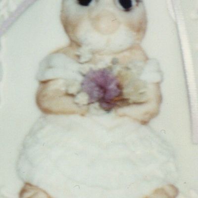 Rabbit Bride
