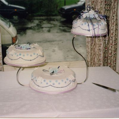 Butterfly/ribbon Cake