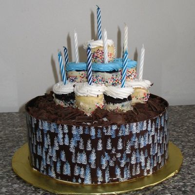 Chocolate Transfer With Mini Cupcakes