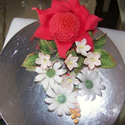 Australian Wildflowers