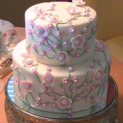 Una Tarde Con Daisis