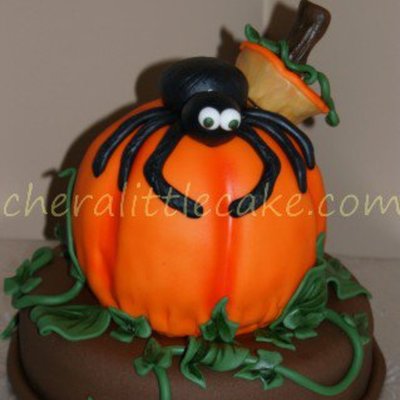 Spider On Pumpkin
