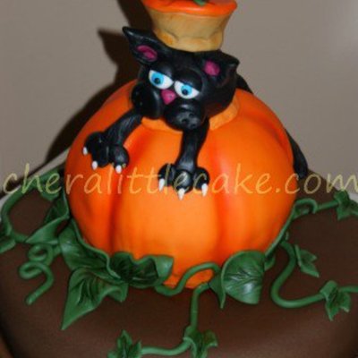 Cat Stuck In Pumpkin