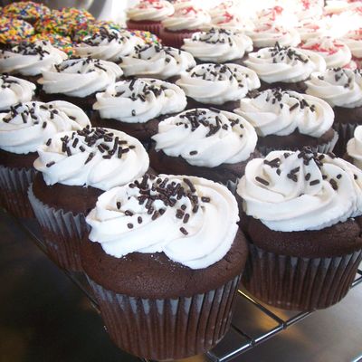 Dutch Chocolate Cupcakes