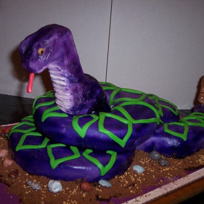 Rattler Mascot Cake My 13Yr Son Did For School