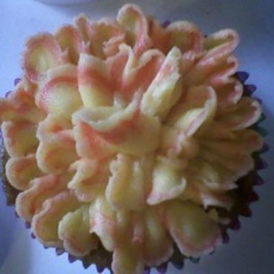 Cupcake Carnation