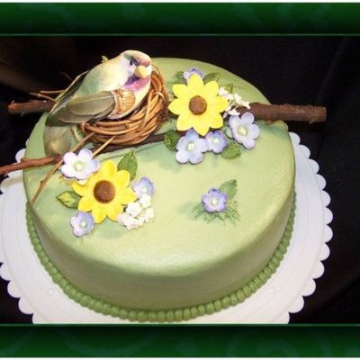 Bird Themed Baby Shower Cake