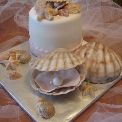 Sea Shells Gumpaste And White Chocolate