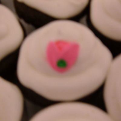 Cupcakes I Did To Accompany The Ballet Shoes Cake.