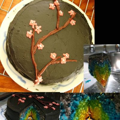 Black And Rainbow Cake