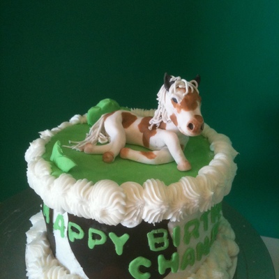 Painted Pony Cake And Figure