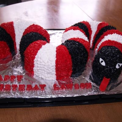 Snake Cake