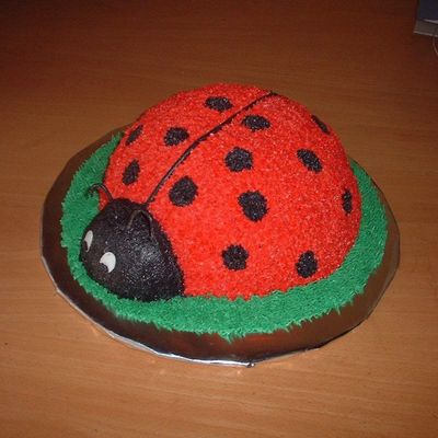 Ladybug