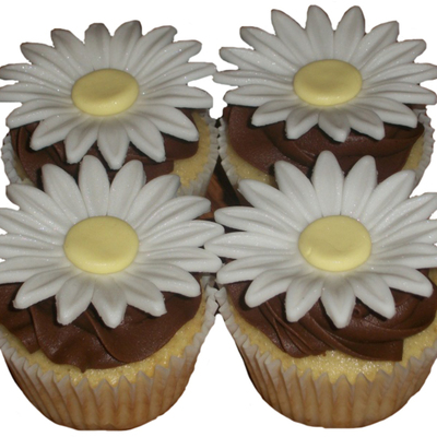 Daisy Cupcakes